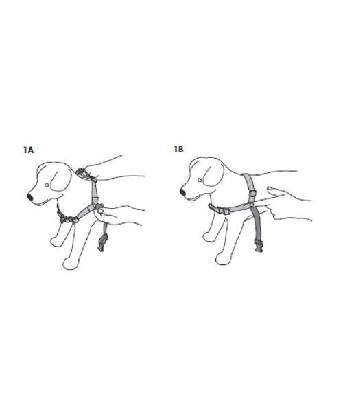 Szelki przeciwko ciągnięciu Easy Walk Harness