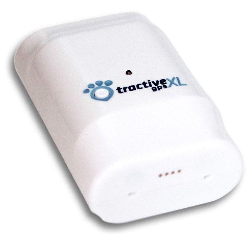 Lokalizator GPS Tractive XL dla psów i kotów