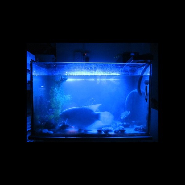 Wodoszczelne oświetlenie 15 LED do akwariów