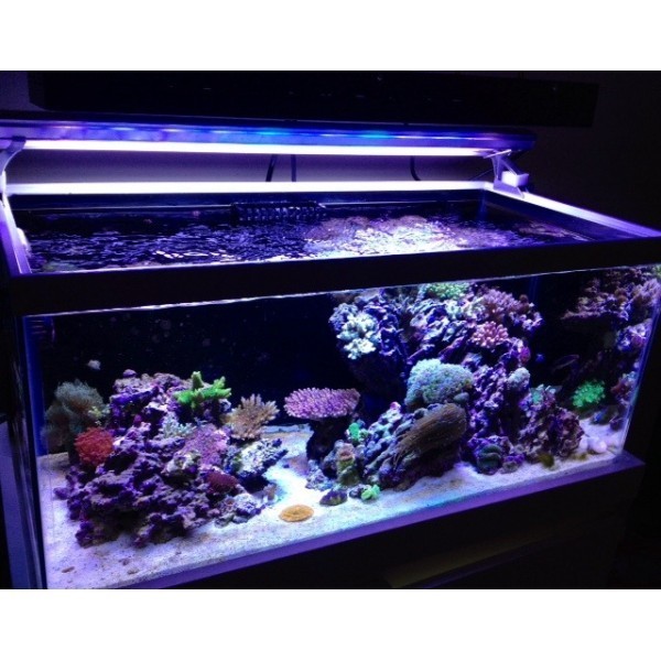 Oświetlenie akwariowe LED MARS AQUA 300W