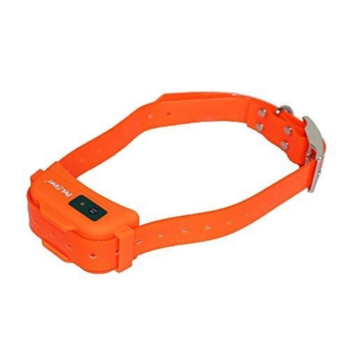 Elektroniczna obroża treningowa Petrainer PET910