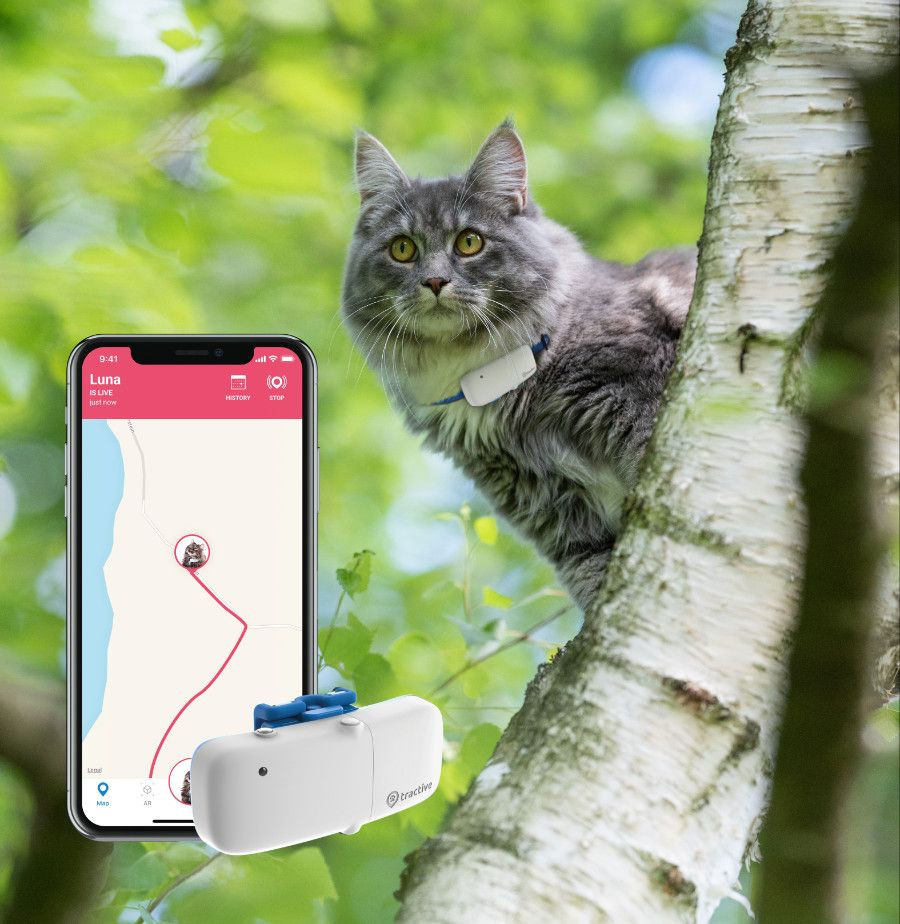 Lokalizator GPS dla kotów Tractive