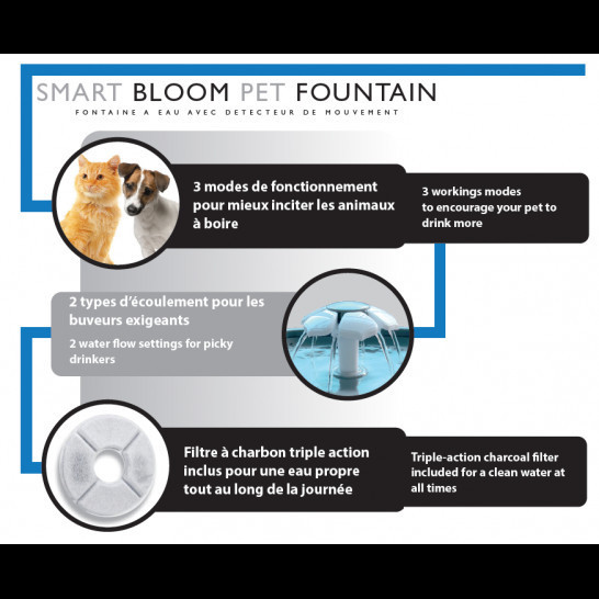 Fontanna dla psów i kotów Eyenimal SMART Bloom