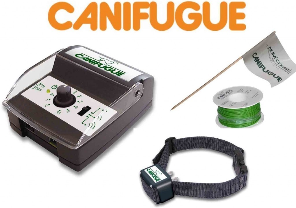 ogrodzenie elektroniczne CANIFUGUE